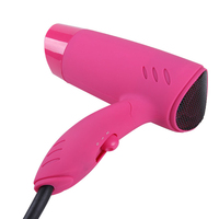 Mini sèche-cheveux professionnel, batterie de voiture 12v, sèche-cheveux
