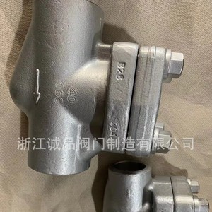 Válvula de Retención Manual de Acero Forjado H61W A105 F304 F316L Resistente a la Corrosión, Soldada, Unidireccional, Anti-Retorno para Aceite, Agua y Gas - Product Image 2