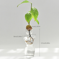 Vase en verre hydroponique pour avocat, pot de culture dédié pour la plantation de graines, ornement de jardinage d'intérieur pour bureau