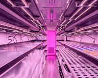 Smart NFT Farms Conteneur d'agriculture d'expédition hydroponique verticale Système hydroponique NFT