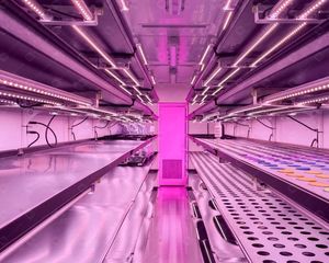 Thông minh nft trang trại dọc thủy canh vận chuyển nông nghiệp <span class=keywords><strong>container</strong></span> nft hệ thống thủy canh - Product Image 5