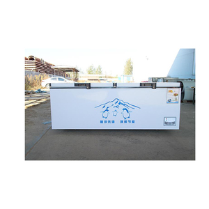 Congeladores Horizontales de 600L con Doble Puerta en Venta - Product Image 2