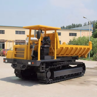 China Mini Track Dumper Truck 2 Tonnen 4 Tonnen 6 Tonnen Kapazitäten Euro 3 Emission Standard Crawler Carriers mit Dump Rubber Track