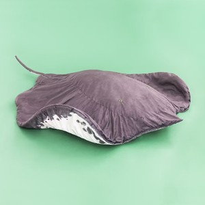 Sống động như thật Manta Ray cá đồ chơi sang trọng mô phỏng ma quỷ ray Thảm Gối búp bê điều hòa không khí phòng đồ chơi - Product Image 4