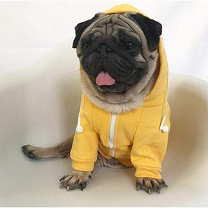 Di lusso Confortevole Cane Camicia di Sport Felpa Con Cappuccio Vestiti Pet Abbigliamento In Cotone Materiale Cucciolo <span class=keywords><strong>Bulldog</strong></span> <span class=keywords><strong>Francese</strong></span> Produttore di 2021 - Product Image 6