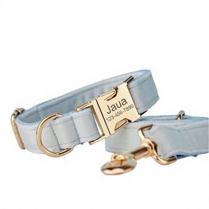 Ensemble laisse et collier personnalisés Lihtblue Veet avec boucle en métal gravée sur mesure, cadeau d'anniversaire pour chiot gratuit - Product Image 1