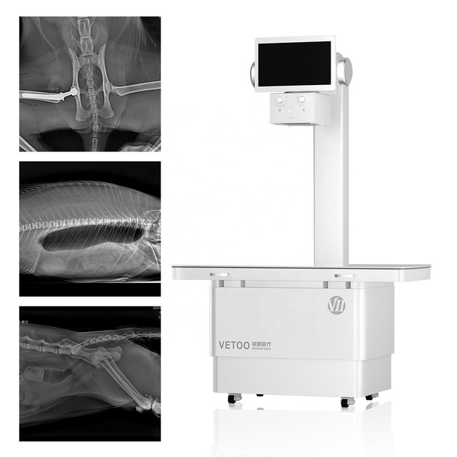 All-in-One Veterinary Digital Radiography System for Pet Clinic High Resolution 17x17 Inches 140m Pixel Flat Panel Detector