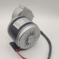 12V Dc Motor Listrik untuk Sepeda 250W MY1016Z
