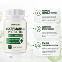 Capsules Probiotiques Akkermansia OEM/ODM : Enzymes Digestives, Supplément pour la Flore Intestinale, Soulagement Post-Repas pour Adultes, Soutien à la Santé Intestinale