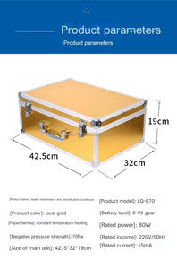 生体刺激生体エネルギー共鳴子午線DDSフェイシャルマッサージャーボディヘルスケア製品鎮痛マッサージ製品 - Product Image 4