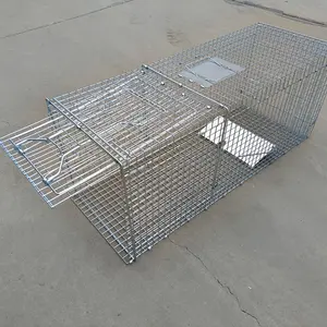 Chipmunk Cage Traps Squirrel Cage Galvanized Foldable Automatic Rodent Squirrel Cage For Sale