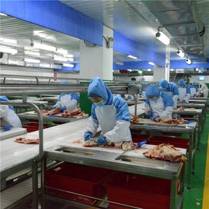 Línea de Sacrificio de Ganado Llave en Mano con Equipo Completo para Plantas de Procesamiento de Carne de Res - Product Image 5