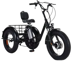 Novo estilo de mini-riquixá elétrico triciclo de três rodas para motocicleta