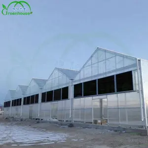 Invernadero de policarbonato opaco, suministro de fabricación con una falta de luz totalmente automatizada