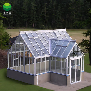 Serre de jardin en verre commerciale, mini serre de jardin en verre, serre extérieure en métal et aluminium, serre utilisée à vendre - Product Image 4
