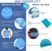 Feelworld-bio — support de glace réutilisable pour les douleurs du dos, thérapie contre le froid, pour les lombaires, soulagement des douleurs musculaire et sciatique, bleue