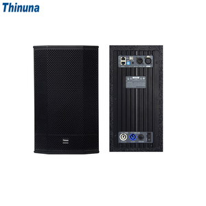 Enceinte active Thinuna T-15-DWP Pro 15 pouces avec DSP, tweeter large de 3 pouces, système audio de scène alimenté en classe D 550W pour concerts et clubs - Product Image 5