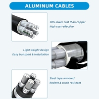 YJLV 0,6/1kV Aluminiumkabel XLPE-isoliert PVC-ummantelt Verteilungskabel