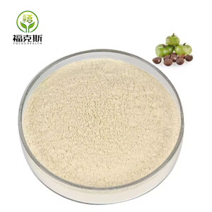 Suplementos Herbais de Alta Qualidade Extrato em Pó de Semente de Folha de Camélia <span class=keywords><strong>Sinensis</strong></span> 65% - Product Image 1