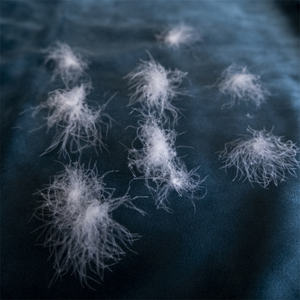 Plumón de ganso blanco/gris, plumón de 2-4cm, <span class=keywords><strong>4</strong></span>-6cm, <span class=keywords><strong>5</strong></span>%-95% 90%, venta al por mayor - Product Image 2