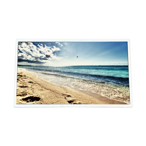 Pantalla LCD Industrial de 15.6 Pulgadas 1920*1080 A156HAN01.0, Pantalla LCD TFT Popular con Descuento - Product Image 1