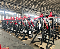 Equipo de Gimnasio Profesional para Uso Comercial, Máquina de Entrenamiento de Fuerza con Placas de Peso, Hammer Strength Power Trainer Low Row
