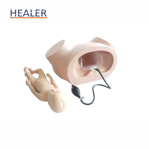 Simulador de entrenamiento de parto femenino de <span class=keywords><strong>ginecología</strong></span>, modelo de partería para trabajo anormal, maniquí de ciencia médica para escuelas - Product Image 5