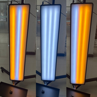 Lampe de détection de bosses PDR en stock usine, vente en gros, avec 6 LED, bande lumineuse et panneau réflecteur pour la détection des bosses et des dommages de grêle