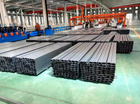 Structure solaire photovoltaïque en acier pour toit plat avec rail solaire galvanisé