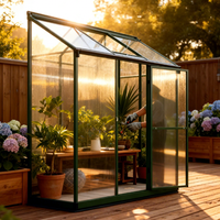 Serre moderne en aluminium avec structure métallique, design écologique, revêtement en poudre, facile à assembler pour la maison, la cour et le jardin