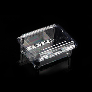 Blister packaging clear plastic clamshell food containers for blueberry cherry strawberry fruit BOX