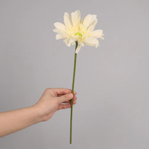 Gerbera Daisy de Látex con Tacto Real Artesanal, Textura Humectada, Tendencia 2026, Barberton Daisy para Venta al por Mayor y Decoración de Bodas - Product Image 1