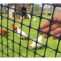 Cesta de Gabión Hexagonal Tejida Recubierta de PVC, Jaula de Alambre de Acero Galvanizado para Aves de Corral, para Granjas Avícolas