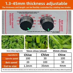 Mond.<strong>uk</strong> 200W Commercial Electric Vegetable Cutter SUS304 Stainless Steel Green Onion Shredder Chili Ring Leek Slicer Machine - Product Image 6