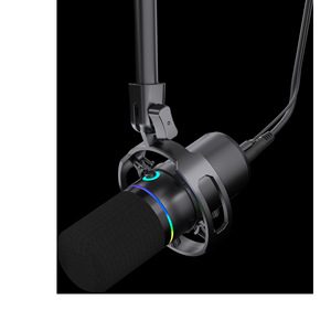 192KHZ24Bit <span class=keywords><strong>microfono</strong></span> dinamico RGB luce led PC <span class=keywords><strong>microfono</strong></span> con braccio braccio Stand RGB illuminazione Mute pulsante <span class=keywords><strong>cuffie</strong></span> <span class=keywords><strong>Jack</strong></span> misura per Vlog - Product Image 2