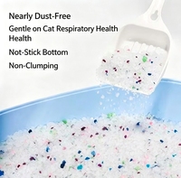 Litière pour chat en gel de silice blanc 5 kg, faible teneur en poussière, absorption rapide de l'eau, fond anti-adhésif, pour chaton, chat en gestation, litière cristalline pour chat