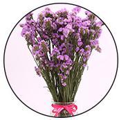 Di alta Qualità 100g Conservato Fiore Naturale Piante Floreali Me Non Fiore - Product Image 3