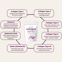 Poudre de protéines multi-collagène OEM hydrolysée de types I, II, III, V, X avec biotine, collagène sans saveur pour femmes et hommes, facile à dissoudre, 1 lb