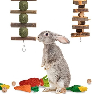Jouets <span class=keywords><strong>pour</strong></span> lapins, jouets à mâcher <span class=keywords><strong>pour</strong></span> lapins <span class=keywords><strong>pour</strong></span> le grincement des dents, bâtonnets de pomme <span class=keywords><strong>en</strong></span> <span class=keywords><strong>bois</strong></span> naturel biologique à 100% et boules de foin de Timothy - Product Image 5