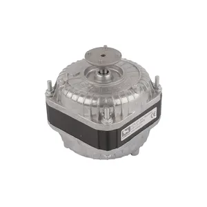 High Quality Mini Electric Motor for Air Revitalizer
