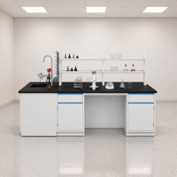 Banc de laboratoire en acier avec plan de travail en résine époxy, évier et étagère à réactifs pour laboratoire scientifique et chimique, vente en gros ODM