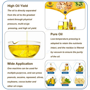Máquina Prensa Hidráulica en Frío <span class=keywords><strong>de</strong></span> Gran Capacidad para Aceite <span class=keywords><strong>de</strong></span> Soja, Nuez, Semilla Negra y Ricino, con Dispositivo Transportador - Product Image 6