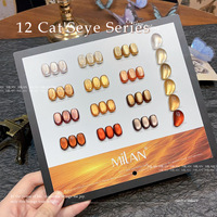 Nouvelle Collection Automne/Hiver – Vernis Gel UV Liquide Magnétique Français 12 Couleurs Effet Oeil de Chat Dégradé Coucher de Soleil pour Nail Art