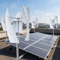 Streetlight Kleiner Mini 200W Vertikalachsen-Windgenerator 12V 24V Erneuerbare Energie Windmühlen-Generator