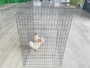 80*80*100 90*90*90 100*100*100 Jaulas en métal pour Gallos de Pelea produits métalliques - Product Image 4