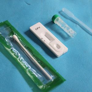 कुत्ते के लिए कैनाइन पैरावो टेस्ट किट कुत्ते के लिए कैनिन पैरावोवायरस टेस्ट किट उपकरण - Product Image 5