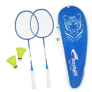 China Originele Fabriek Directe Verkoop Badminton Set Groothandel Goedkope Staal Badminton Racket