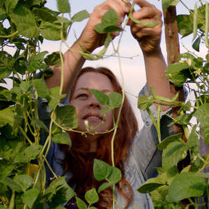 Il terreno di invasatura organico compresso <span class=keywords><strong>per</strong></span> <span class=keywords><strong>piante</strong></span> <span class=keywords><strong>da</strong></span> giardino le verdure si espande <span class=keywords><strong>per</strong></span> uso interno o esterno Mix Plantable derivato <span class=keywords><strong>da</strong></span> Natural - Product Image 1