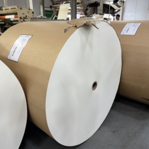 Rollo de papel recubierto de PE, pulpa virgen, impermeable y resistente a la grasa, para la producción de vasos de papel desechables - Product Image 3