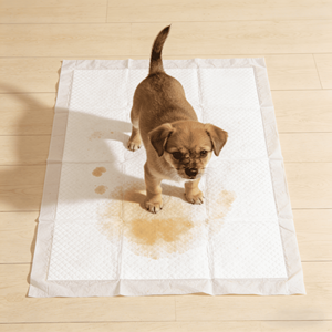Almohadillas de Entrenamiento para Perros y Cachorros, Desechables, Biodegradables, Duraderas, Cómodas y Transpirables, con Control de Olores - Product Image 1